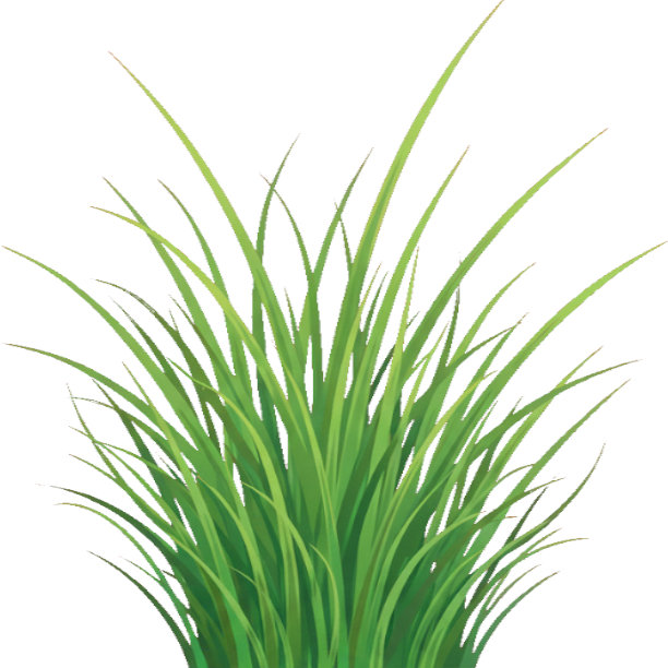 Ornamental Grass Farm favicon